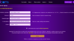 SoulCams ofera 300$ bonus de inregistrare modelelor noi de videochat