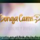 🤑Webcam model Mexico model registration or studio (Bongacams)

 Video Tutorial Bongacams