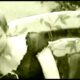 I love LiveJasmin

 Video Tutorial LiveJasmin