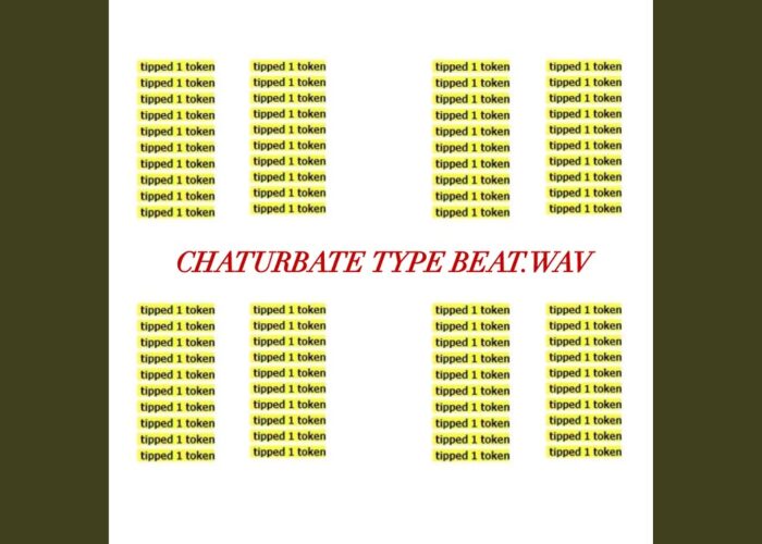 Chaturbate type Beat

