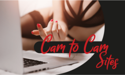The Best Cam to Cam Sites for 2024 (Reviewed and Ranked)
