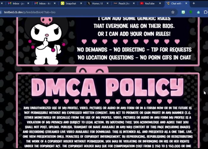 Chaturbate Kuromi Themed Bio

