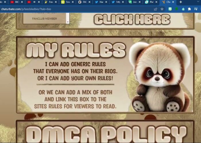 Chaturbate Cute Bear Theme Bio

