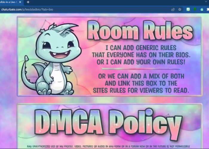 Chaturbate Cute Dragon Themed Bio

