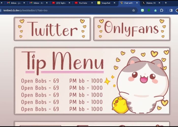 Chaturbate Cute Kitty Themed Bio

