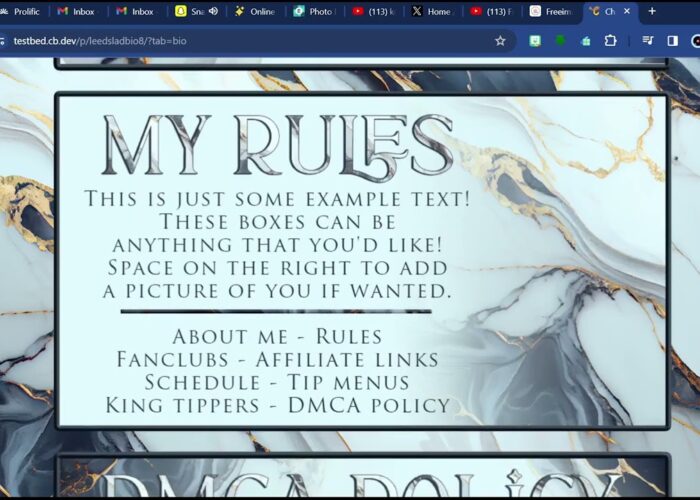 Chaturbate Grey/Blue Marble Theme Bio

