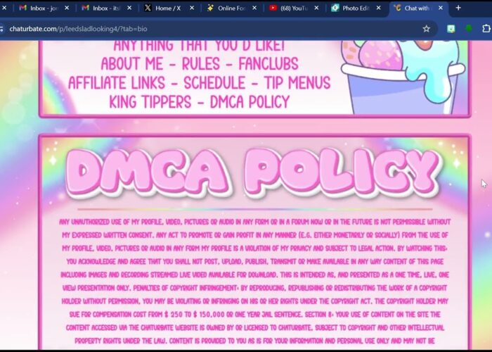 Chaturbate Kawaii Rainbow Themed Bio

