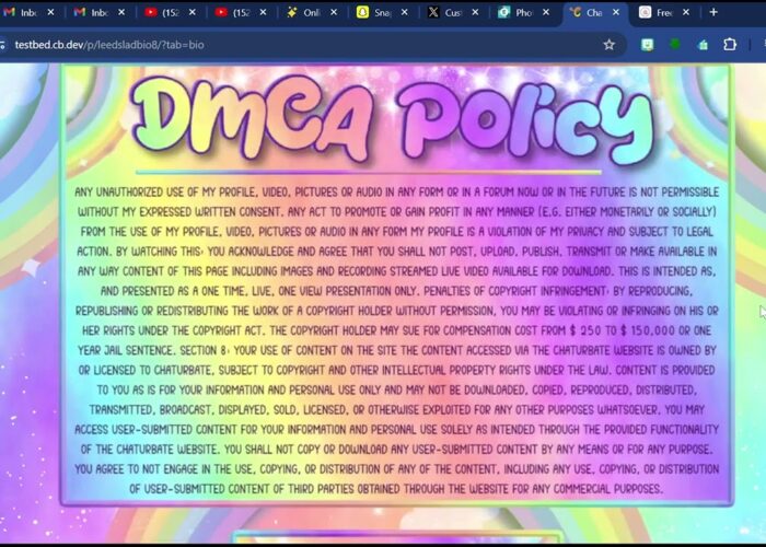 Chaturbate Pastel Rainbow Themed Bio

