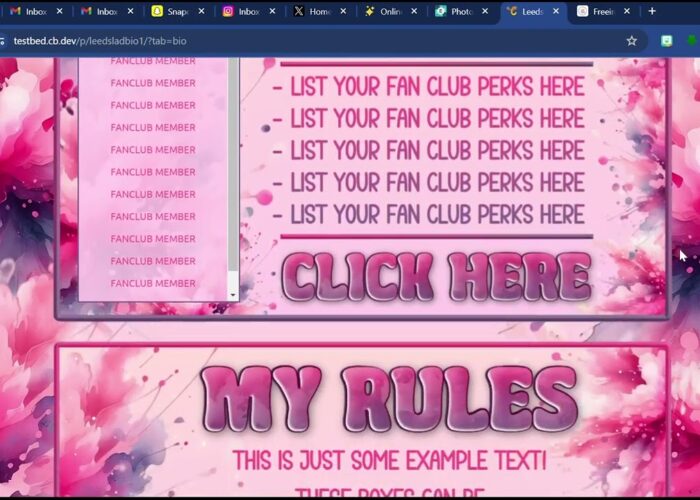 Chaturbate Pink Splash Themed Bio

