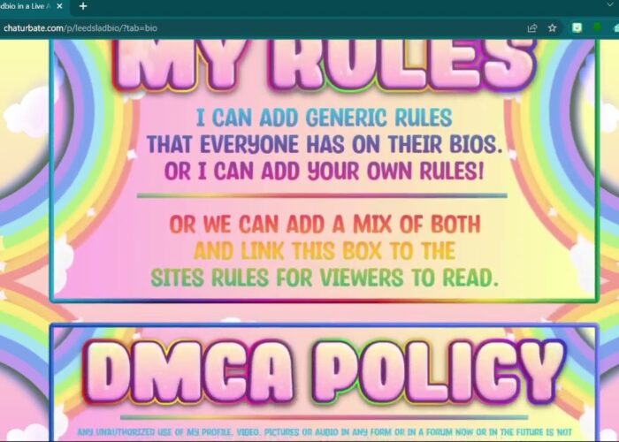 Chaturbate Rainbow Cloud Themed Bio

