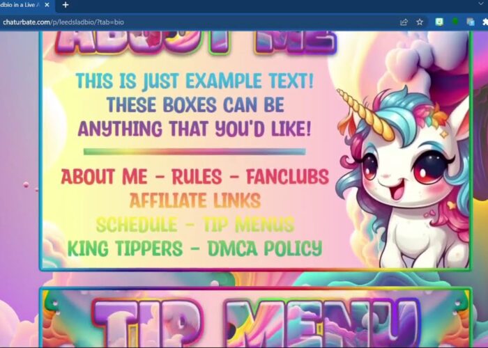 Chaturbate Unicorn Themed Bio

